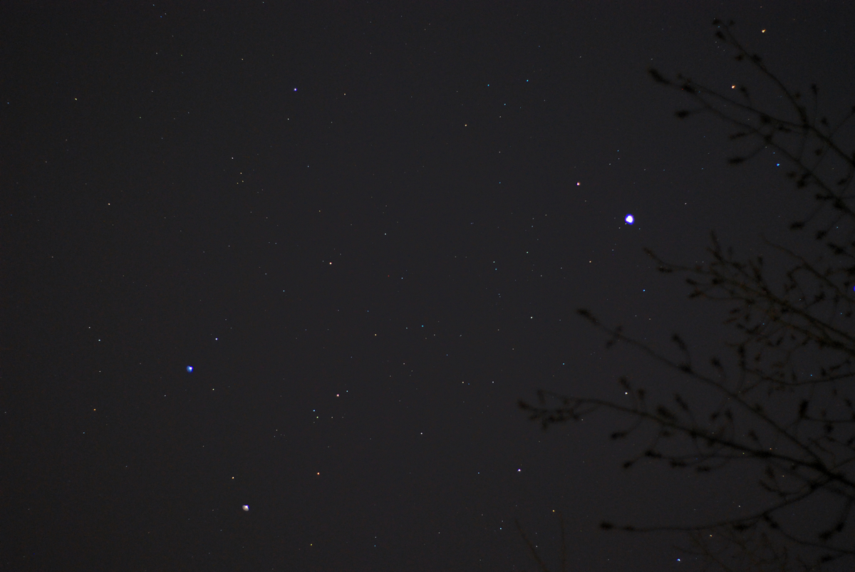 DSC_3546.jpg