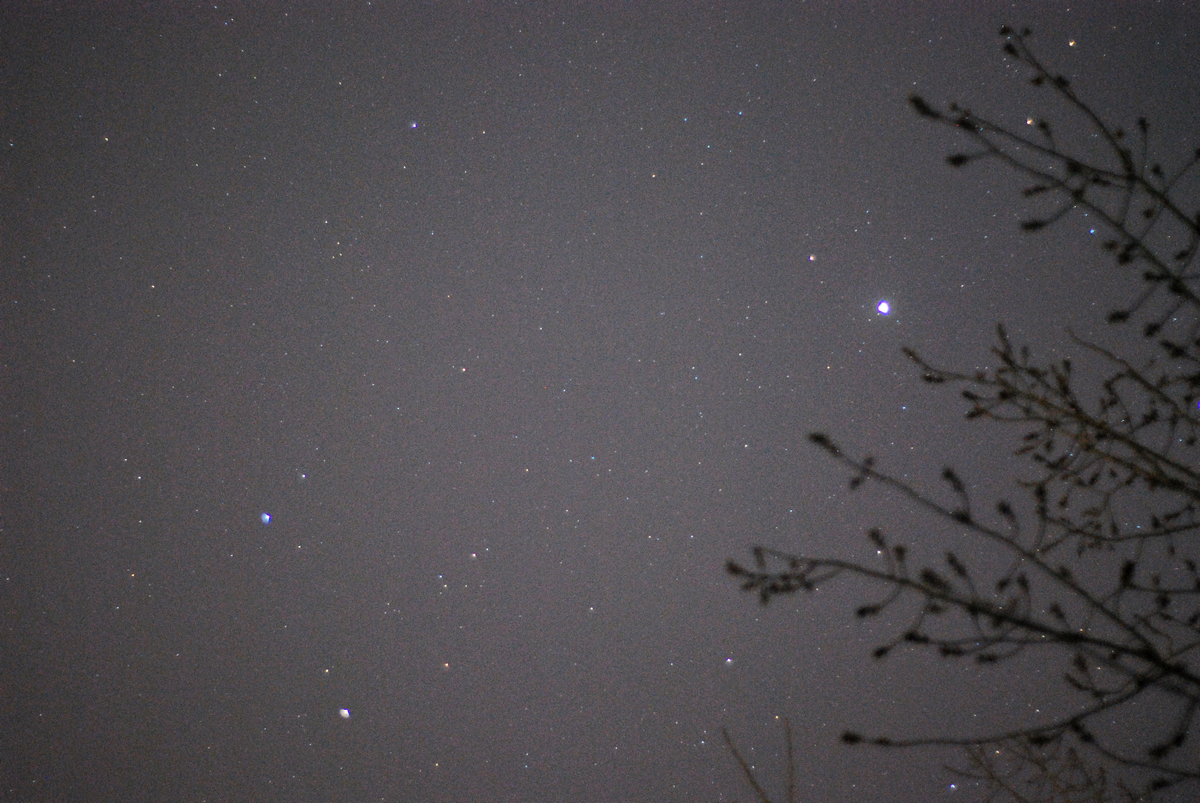 DSC_3546qa.jpg