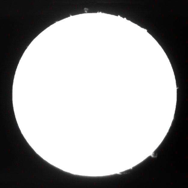 z1.jpg