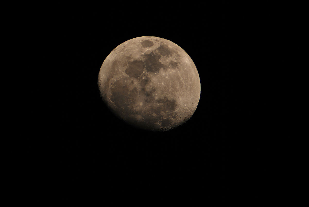 03127a.jpg