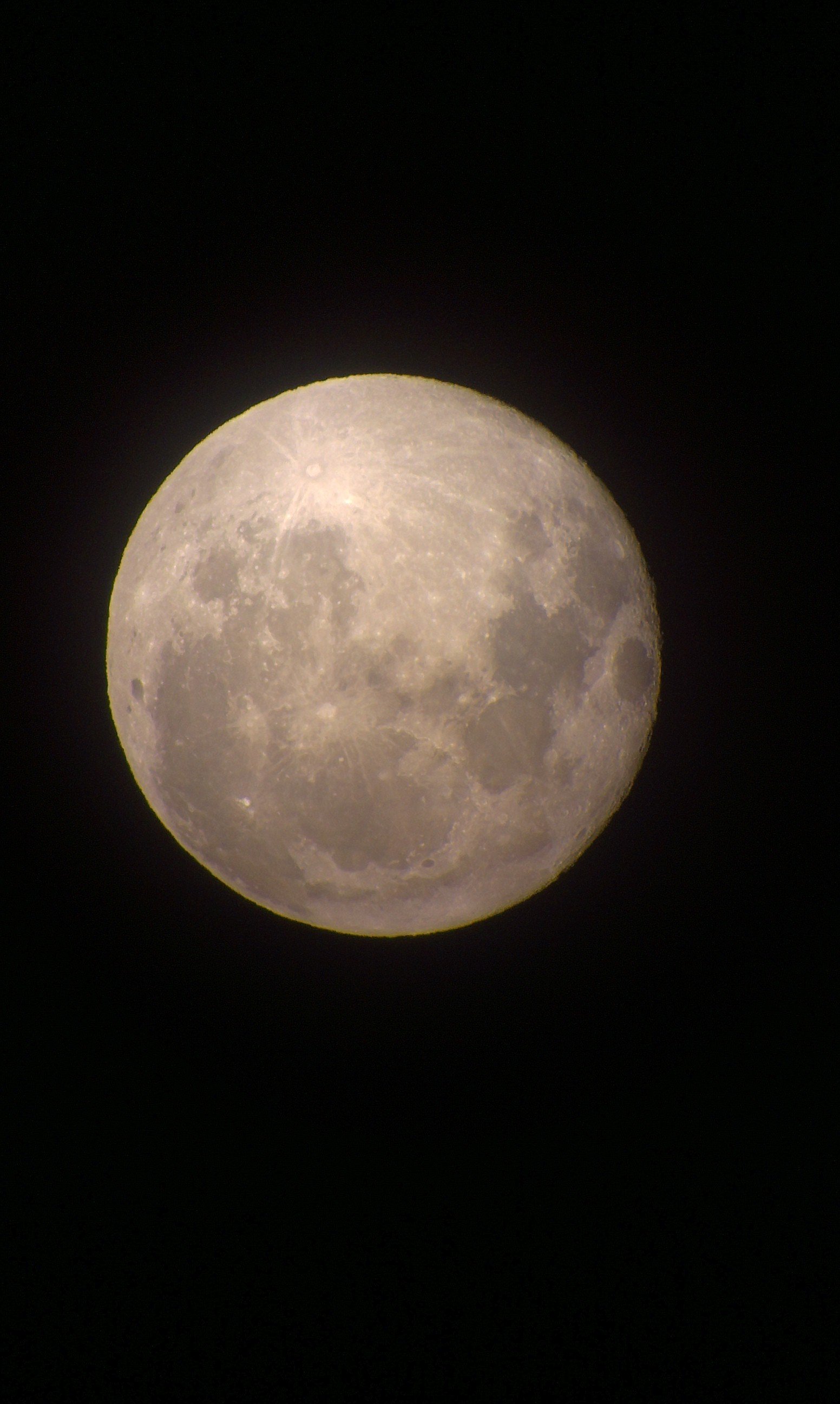 IMAG0215.jpg