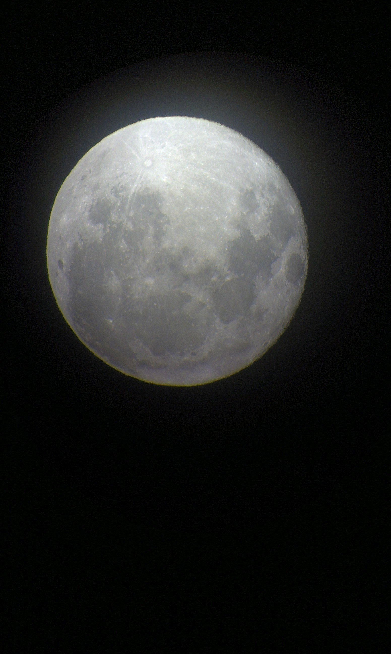 IMAG0217.jpg