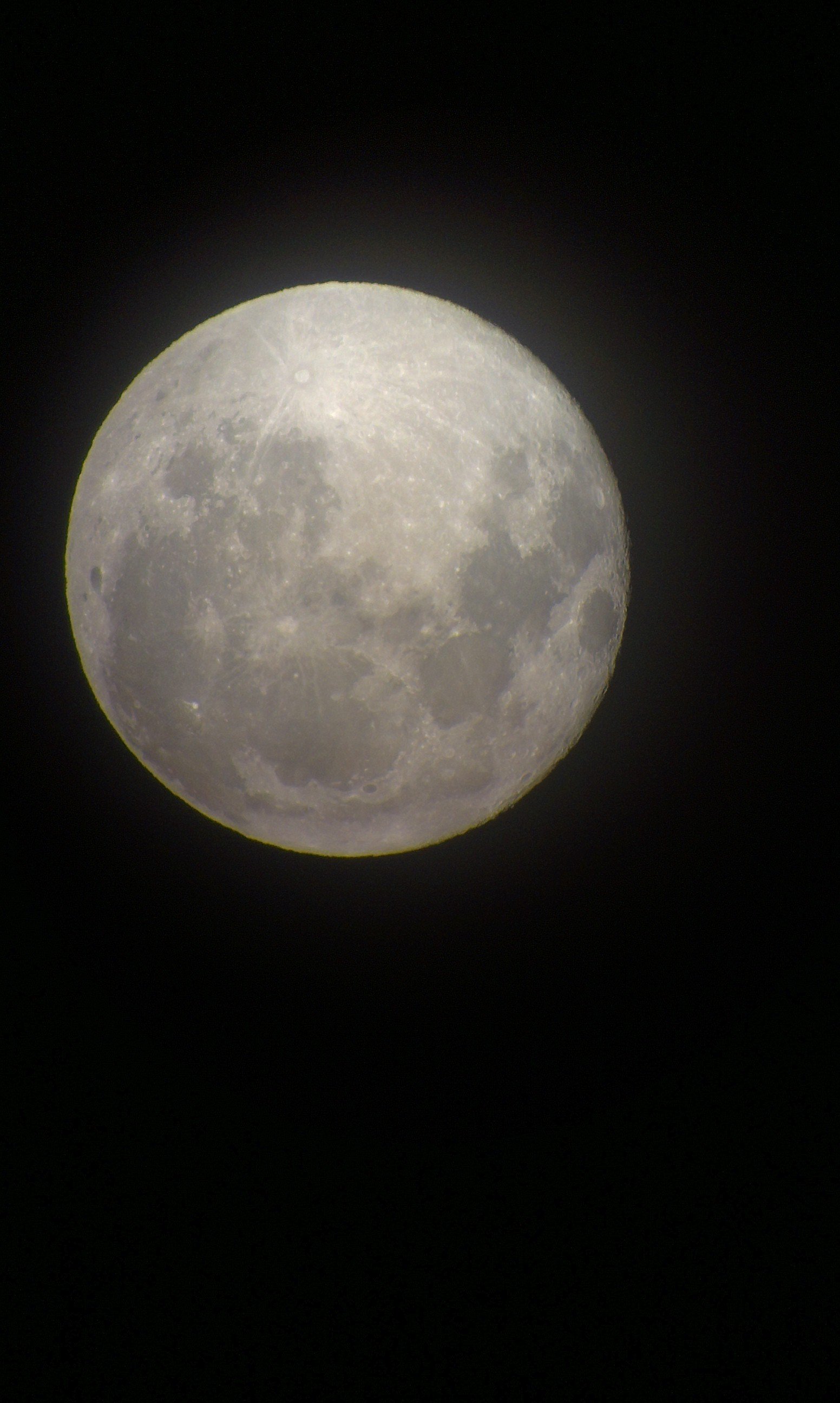 IMAG0216.jpg