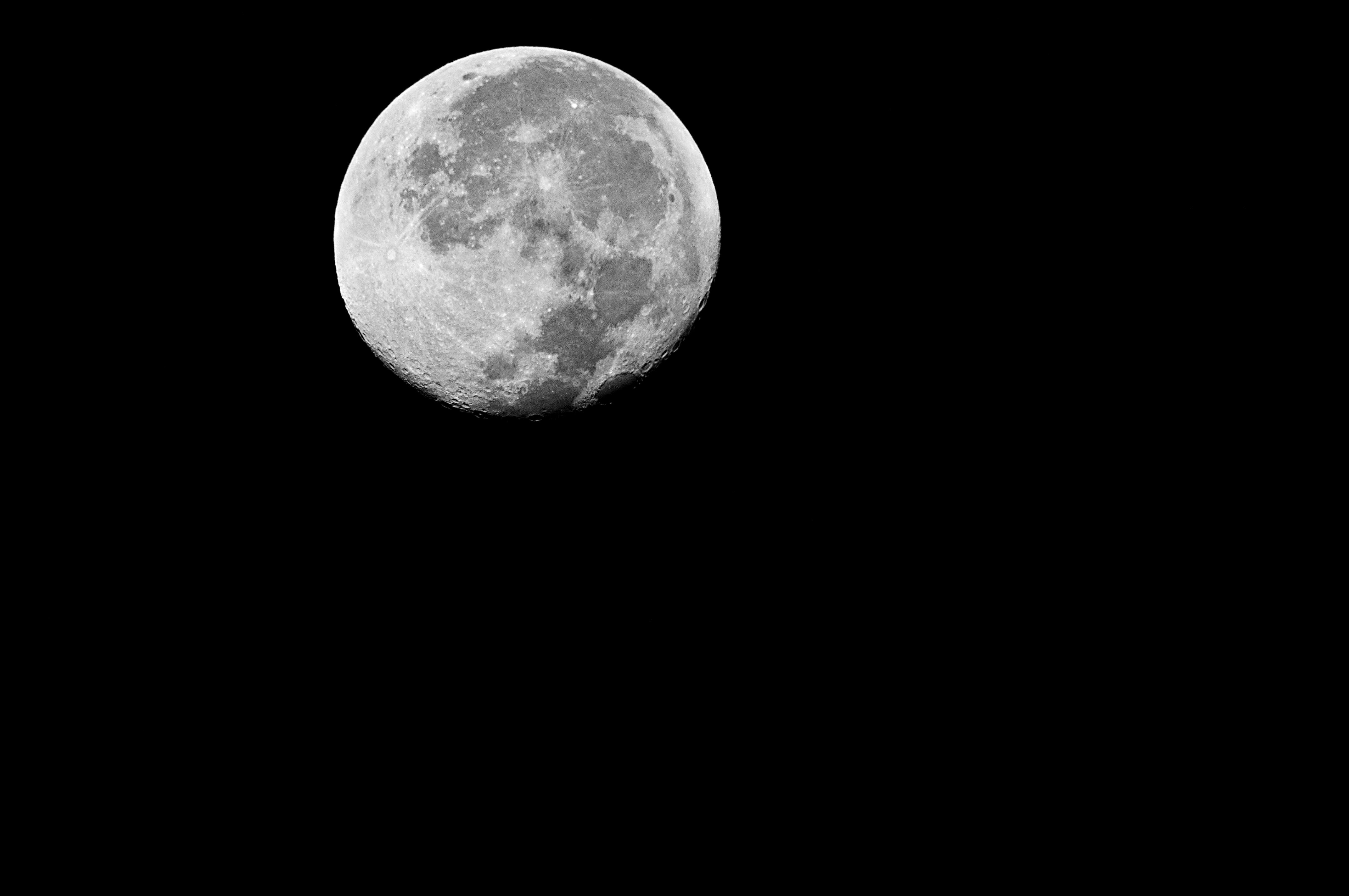 DSC_5206.jpg
