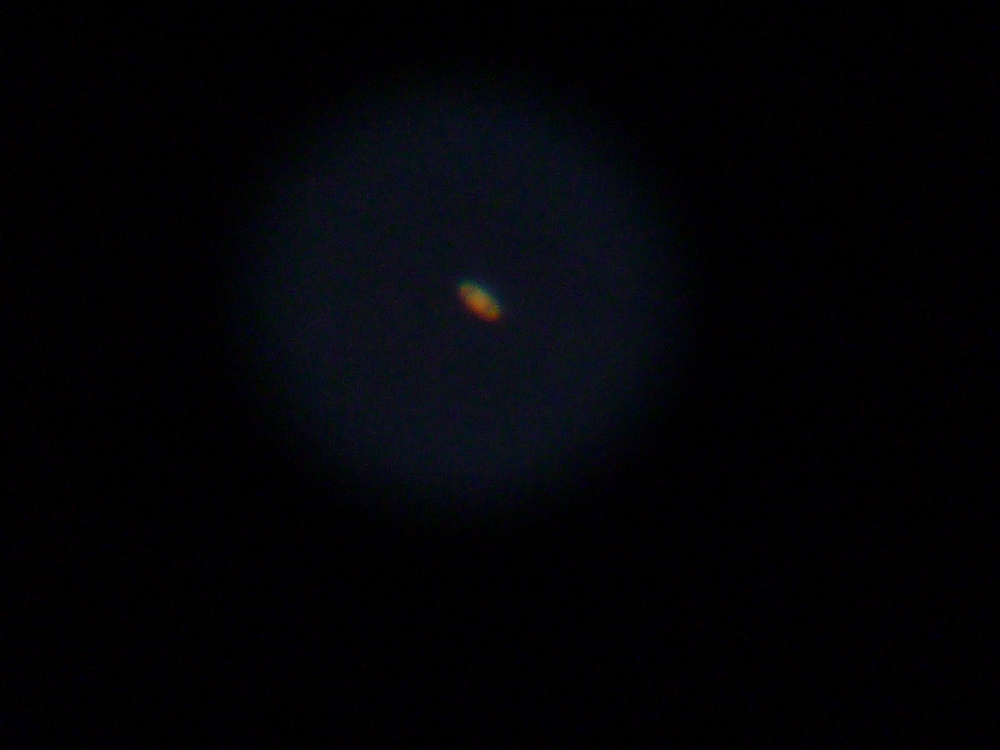 P1010754.JPG