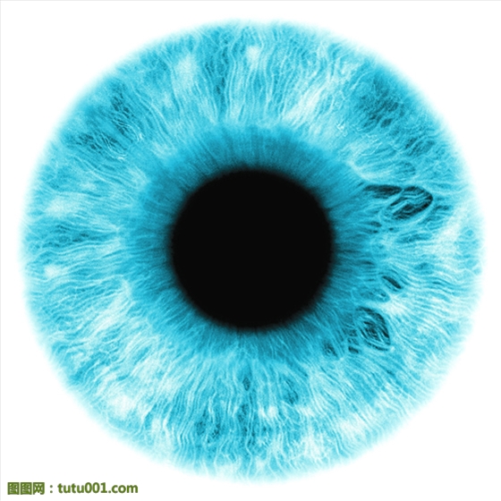 22b1bc87677227fd3c0178934c_560.jpg