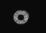 ~B58X0NOS0S1[)XVVWCBK5U.jpg