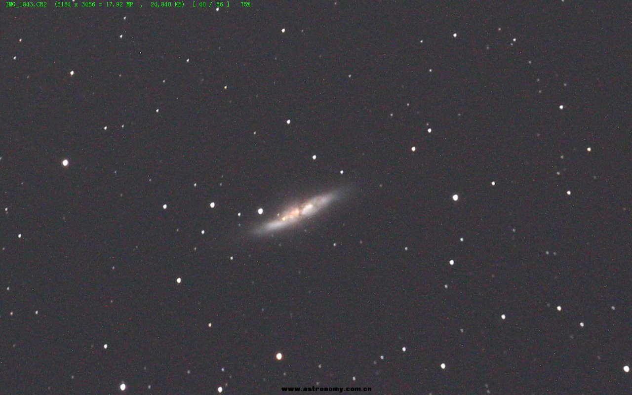 M82