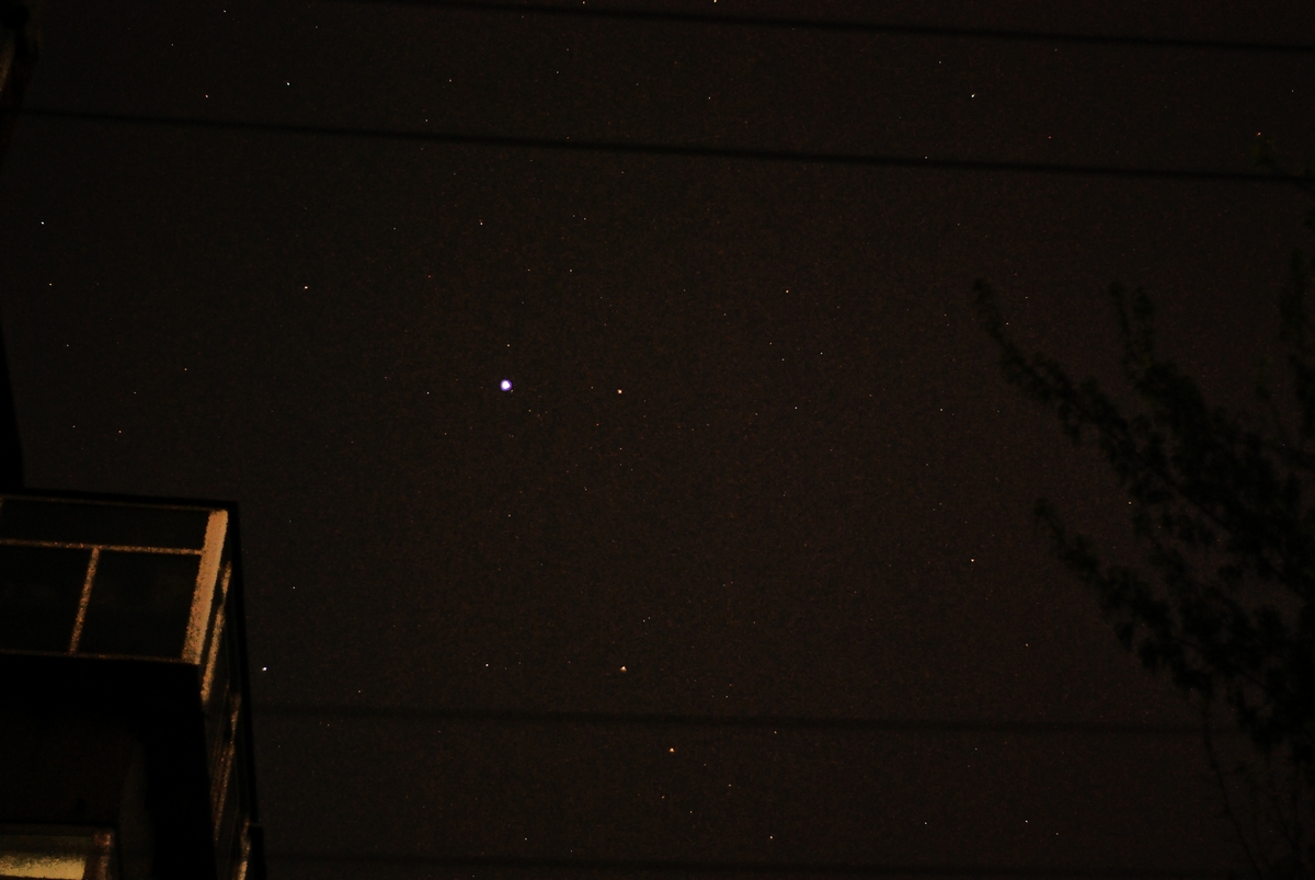 DSC_4727.jpg