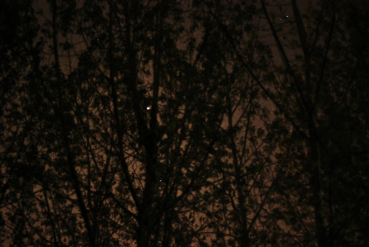 DSC_4735.jpg