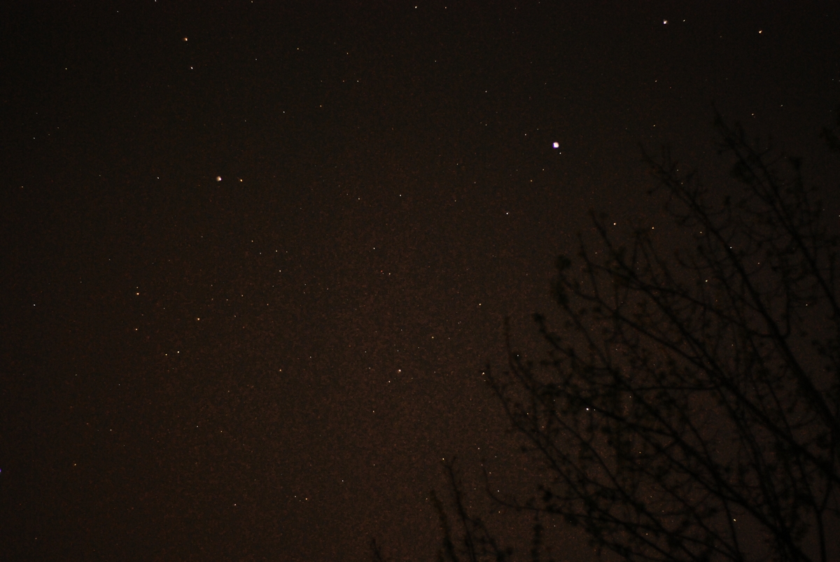 DSC_4738.jpg
