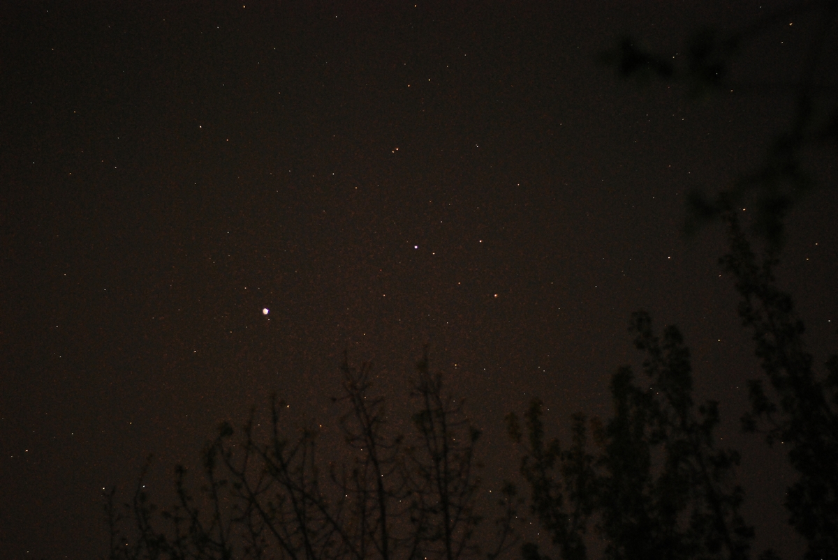 DSC_4737.jpg