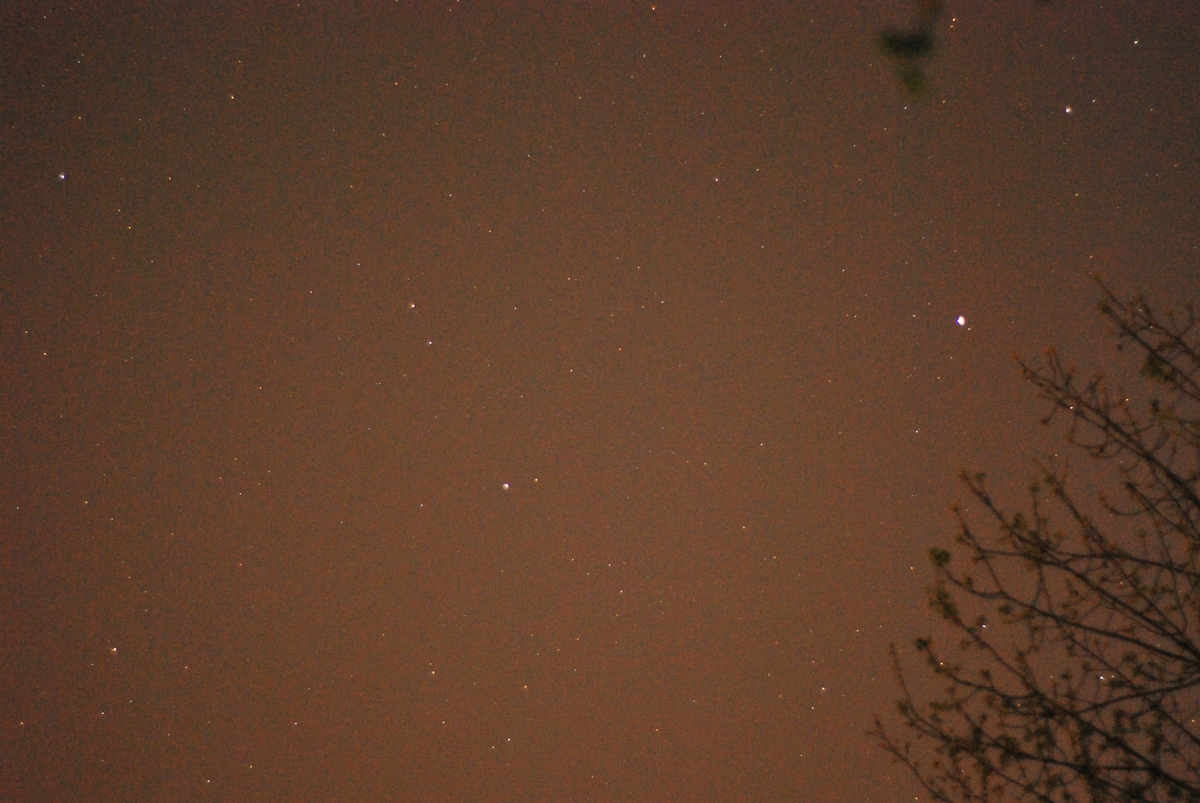DSC_4743.jpg