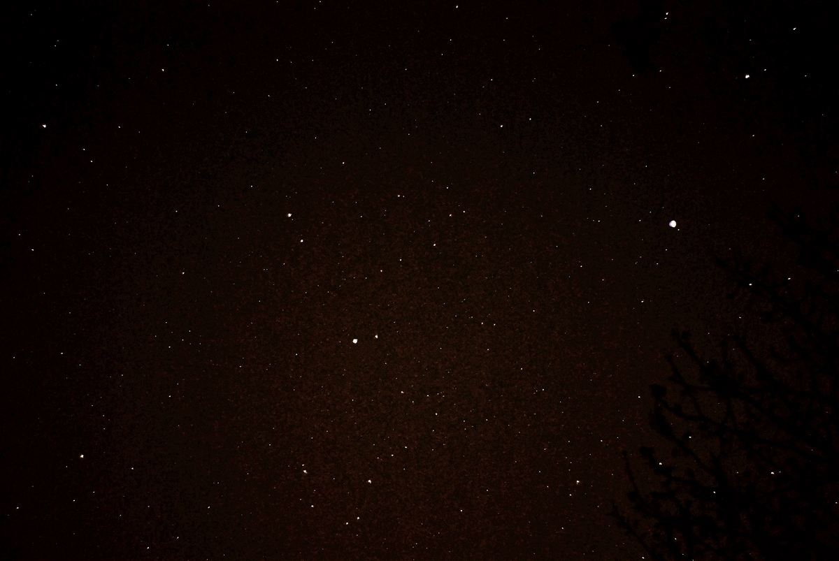 DSC_4744.jpg