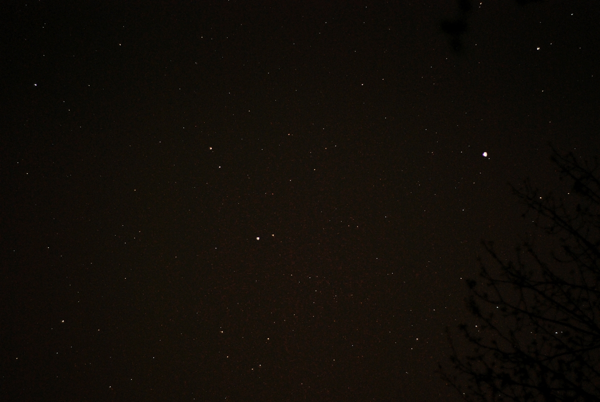 DSC_4746.jpg
