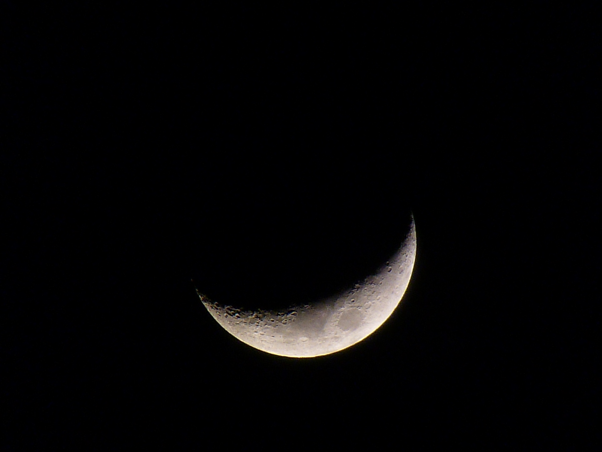 P1020252.JPG