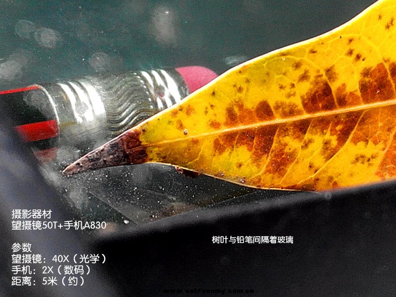 枯叶铅笔.jpg