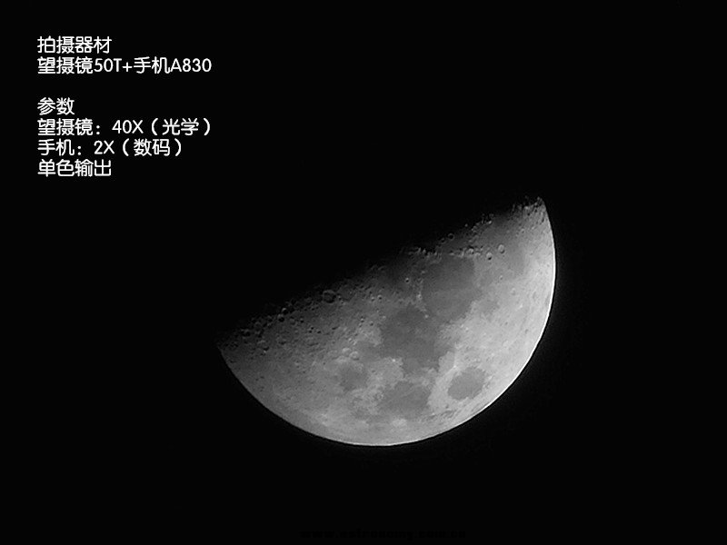 初八月球50T.jpg