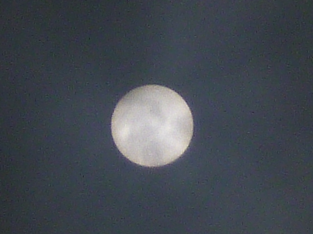 P1020952.JPG