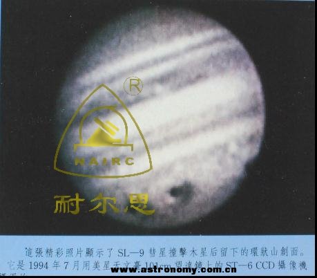 782-b.jpg