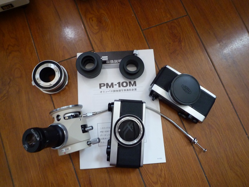 P1070049.JPG
