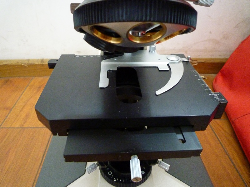 P1070050.JPG