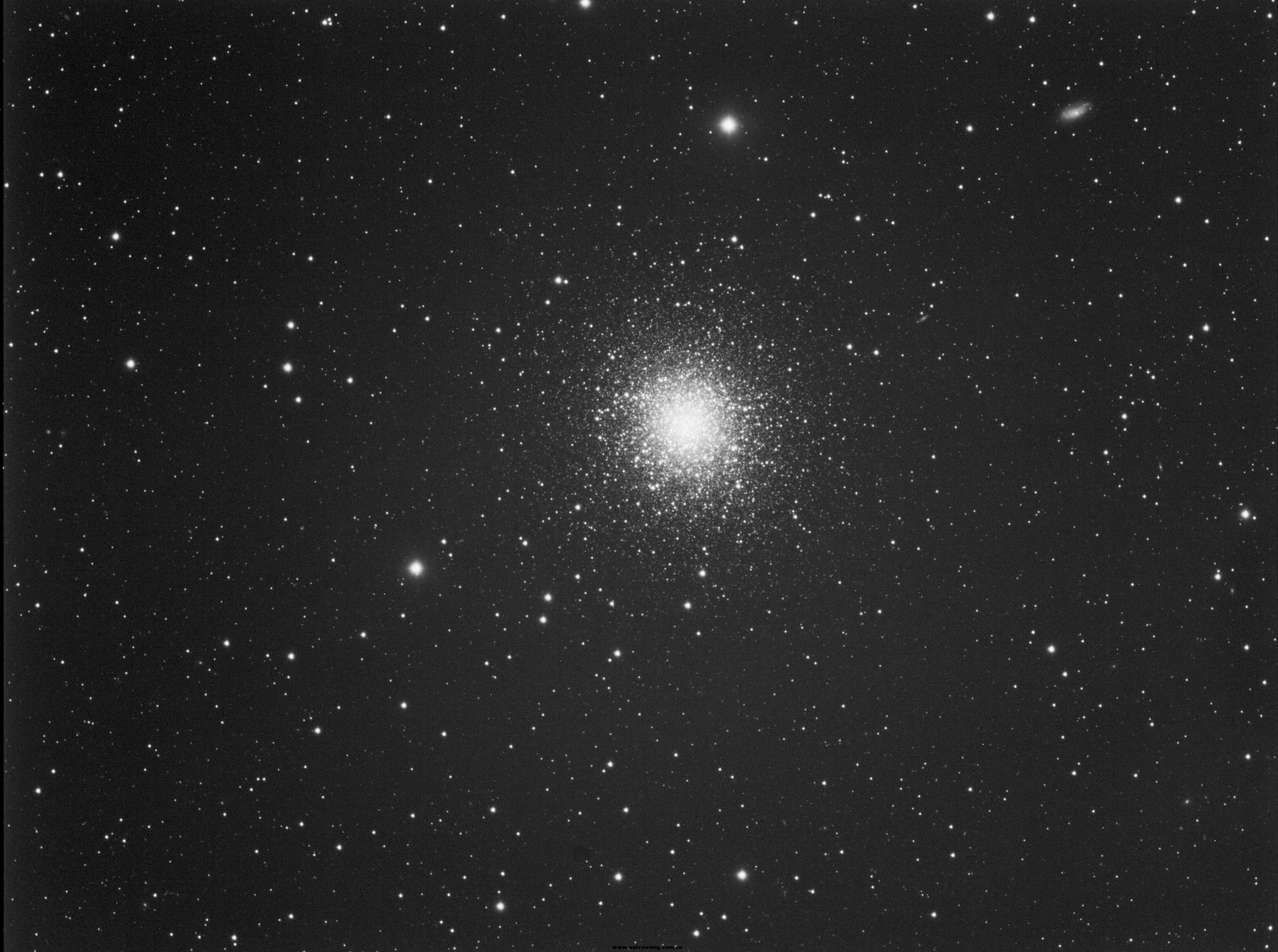 M13.jpg