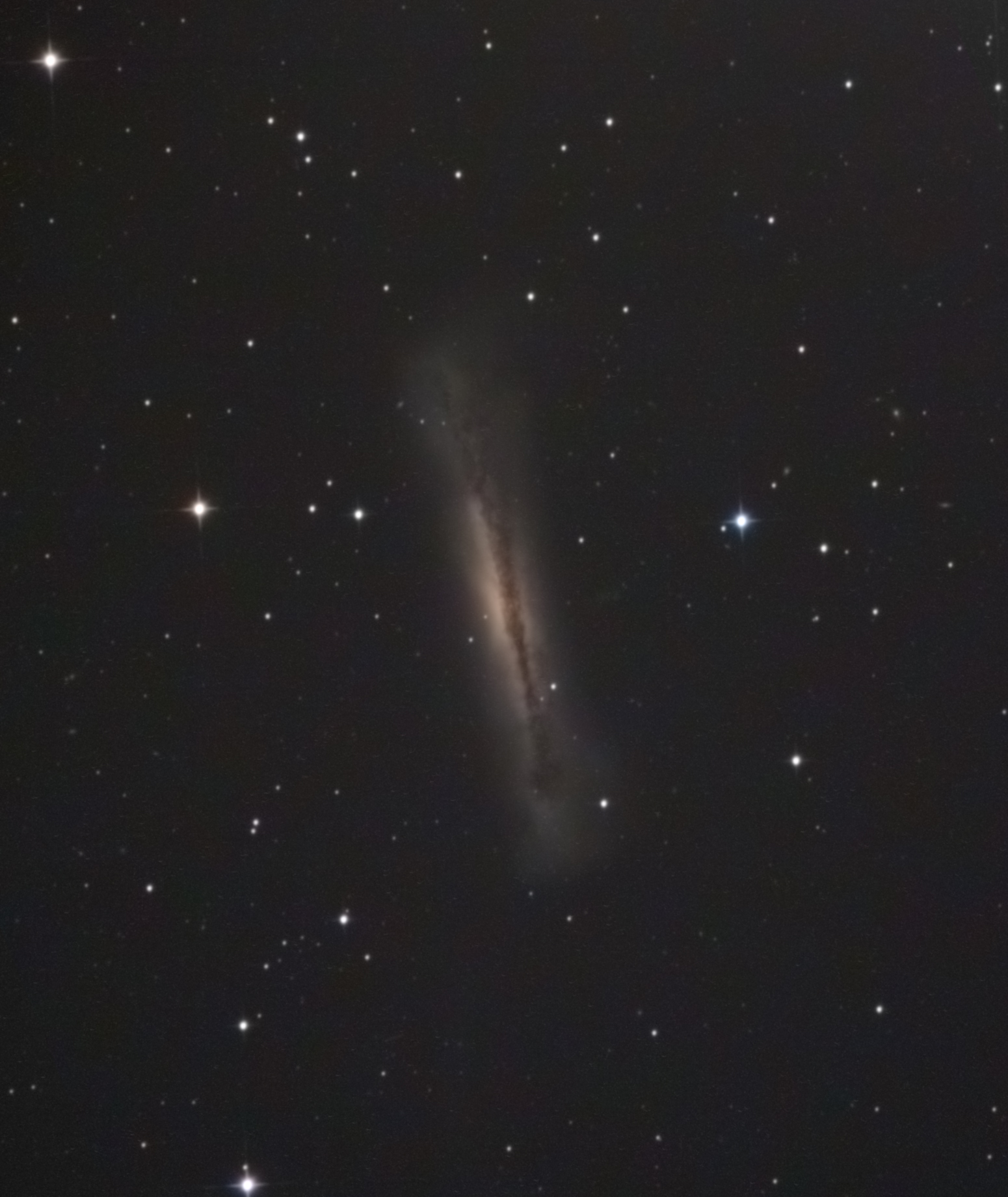 ngc3628.jpg