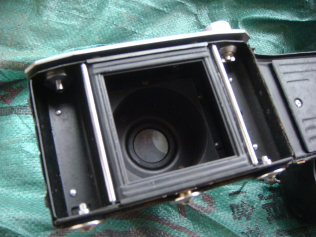 DSC09903.JPG