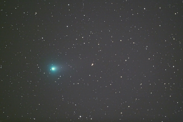20131107_lovejoy彗星.gif