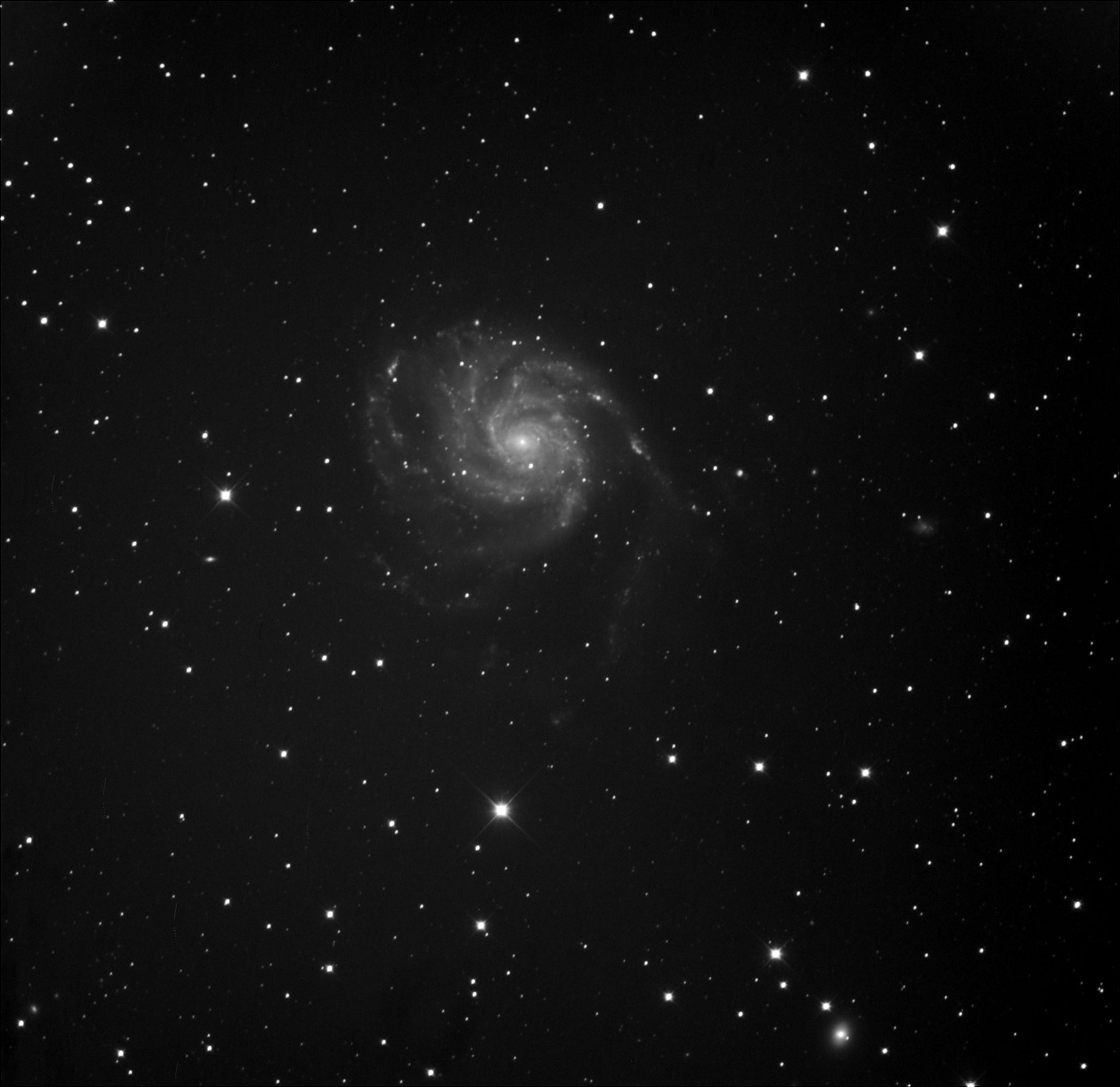 M101org.jpg