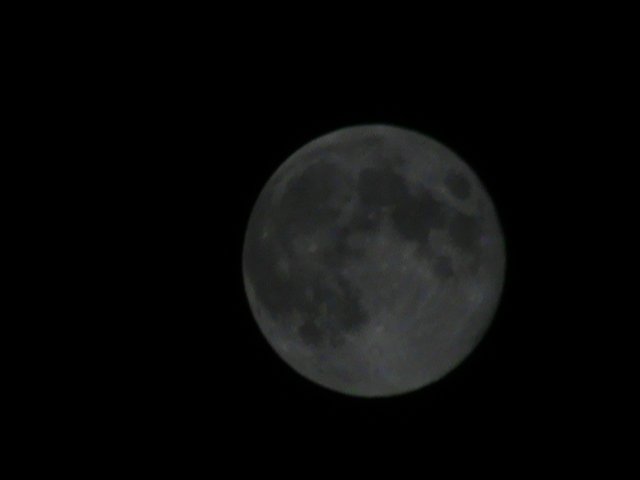 DSC00900.JPG