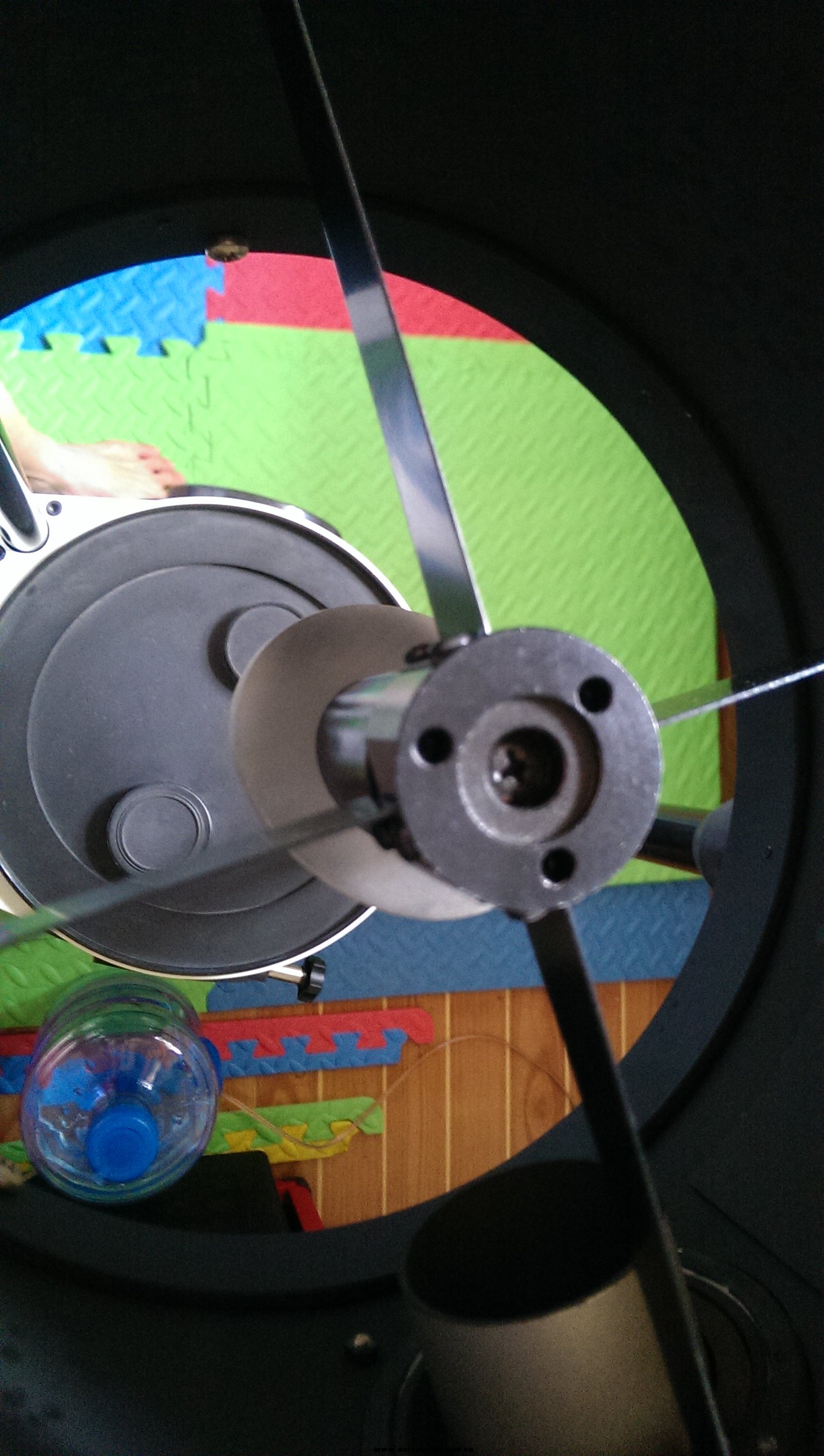 IMAG0464.jpg