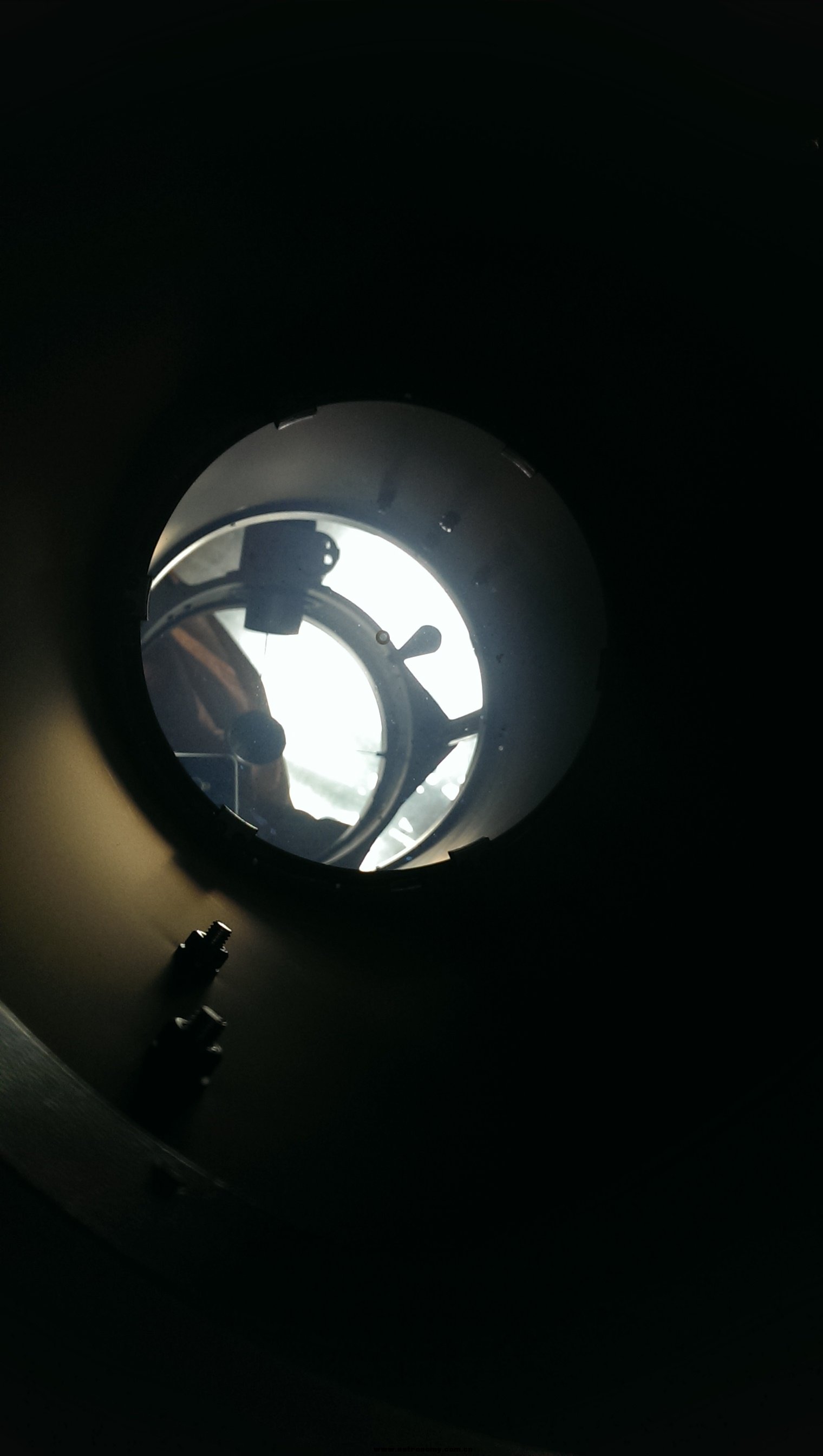 IMAG0467.jpg