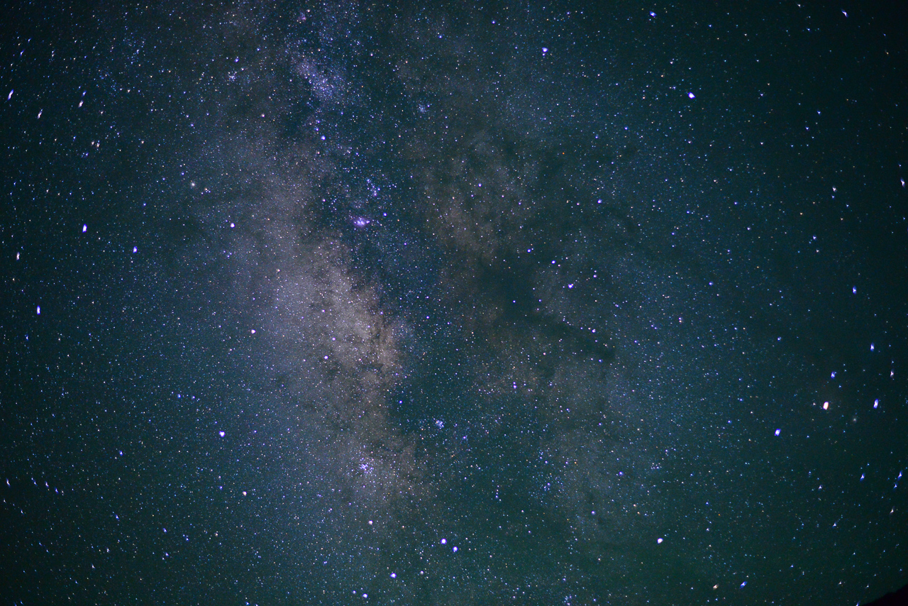 DSC_0396.jpg