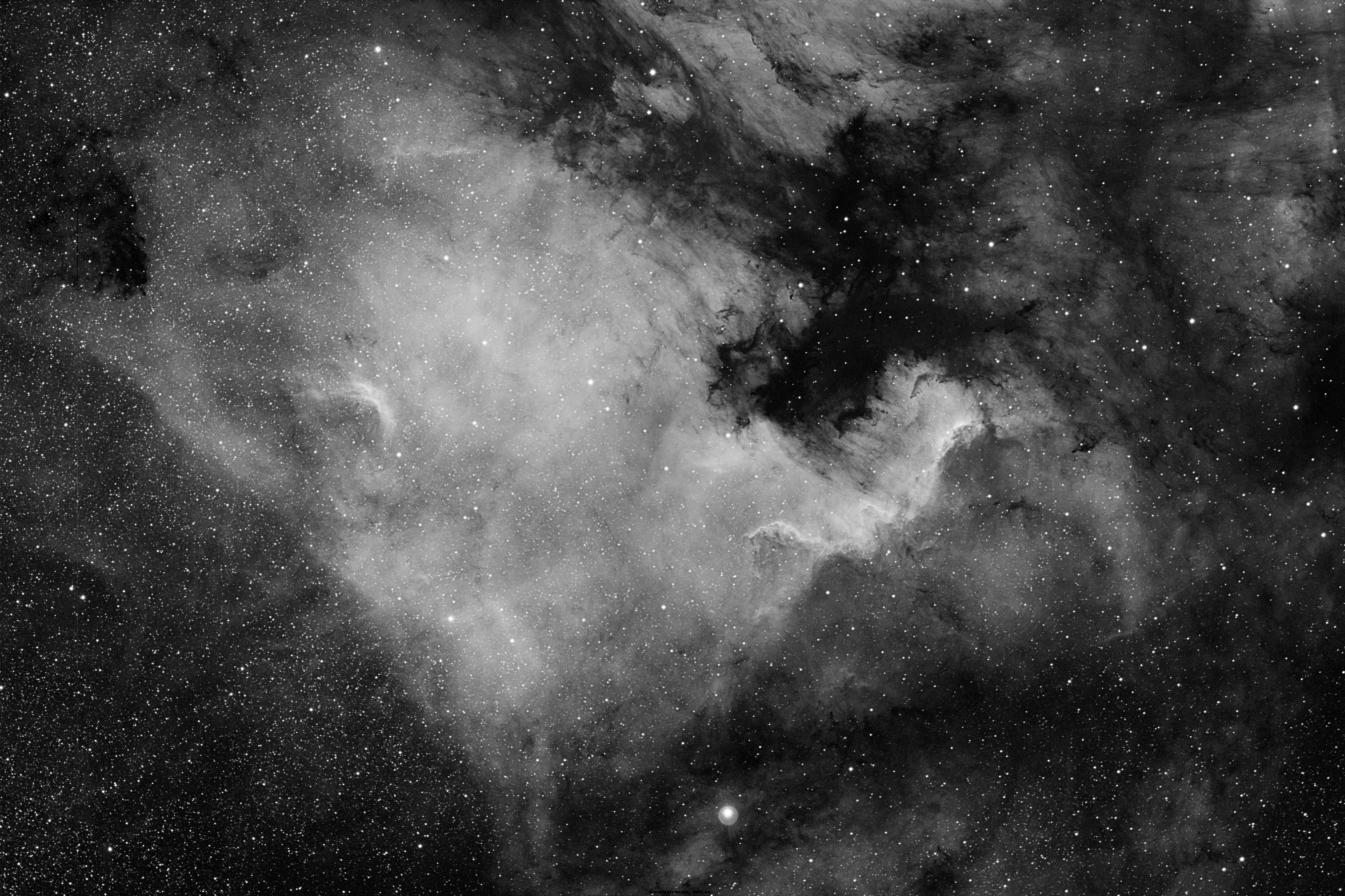 ngc7000-wap.jpg