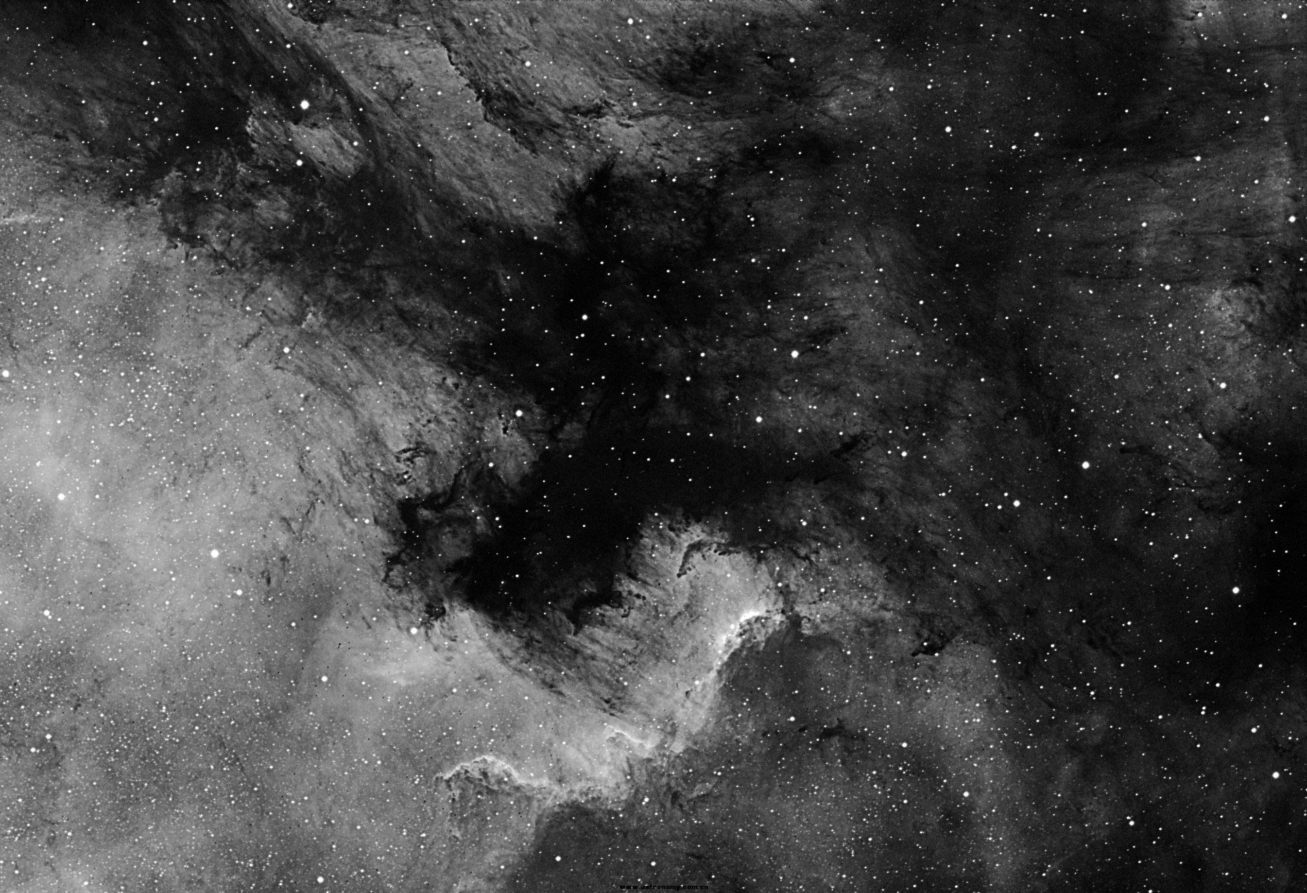 ngc7000-局部.jpg