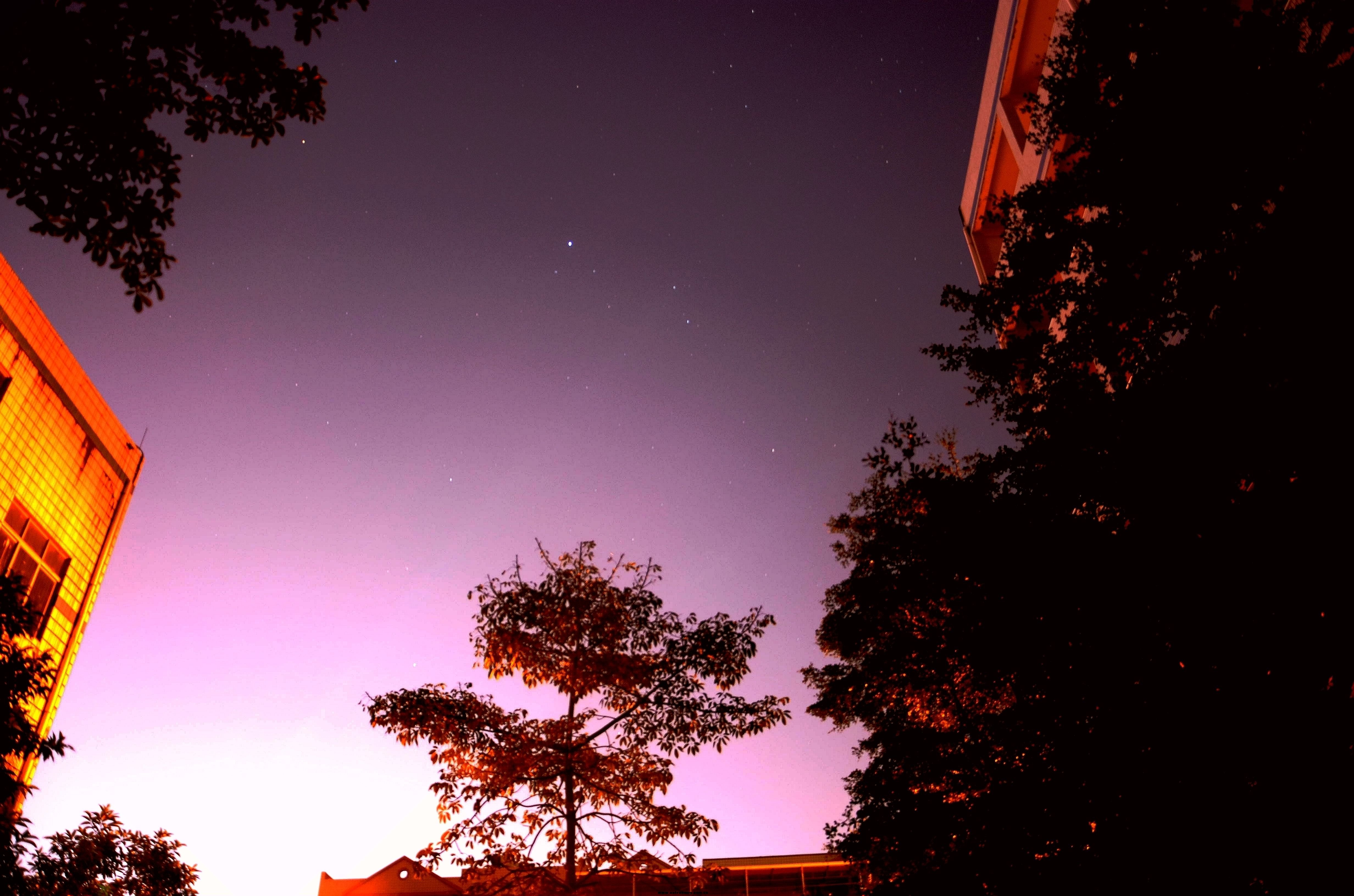 DSC_0239_副本.jpg