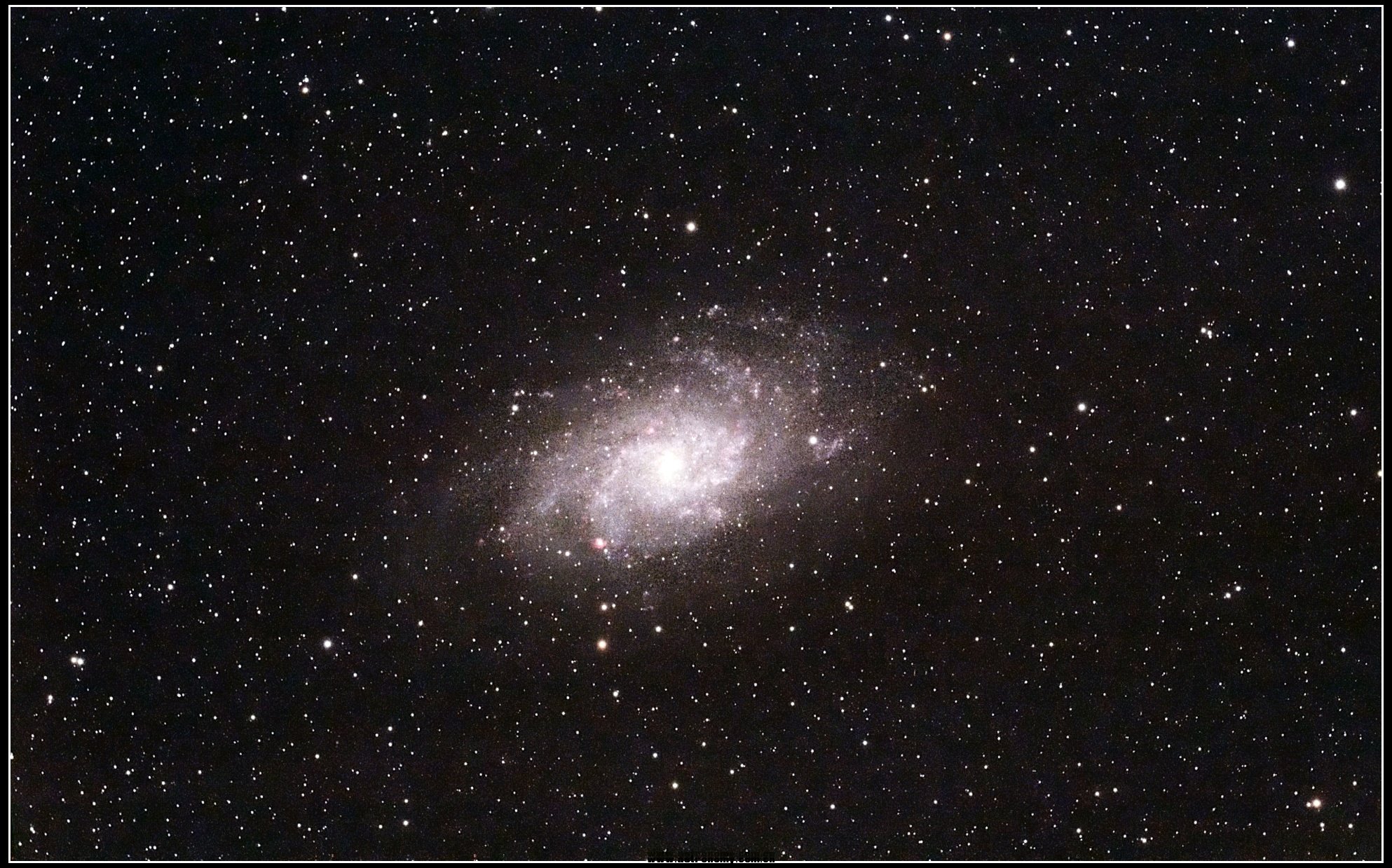 m3311.jpg