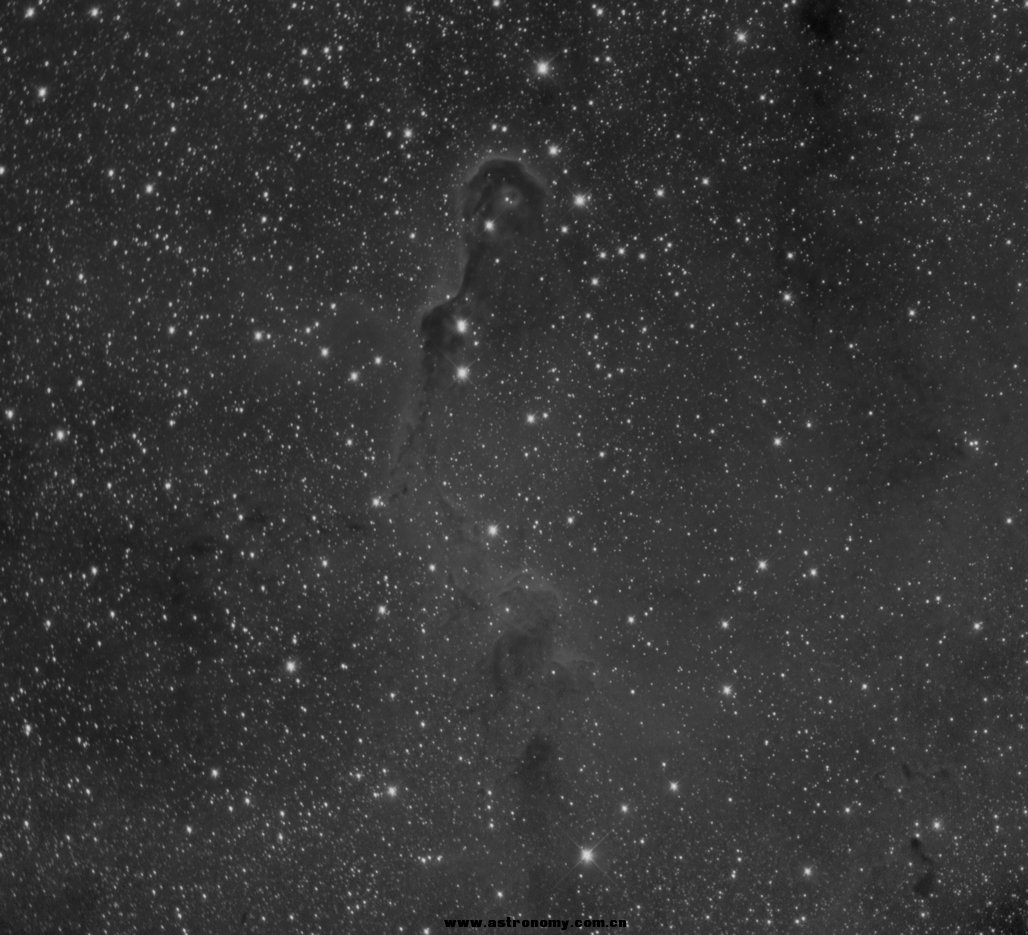 IC1396BL.jpg