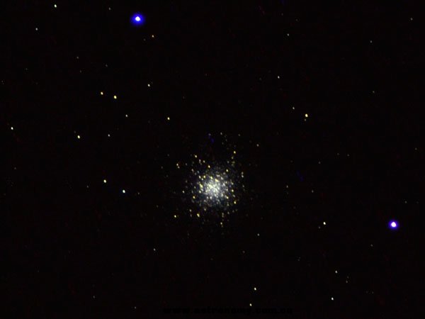 M13.jpg