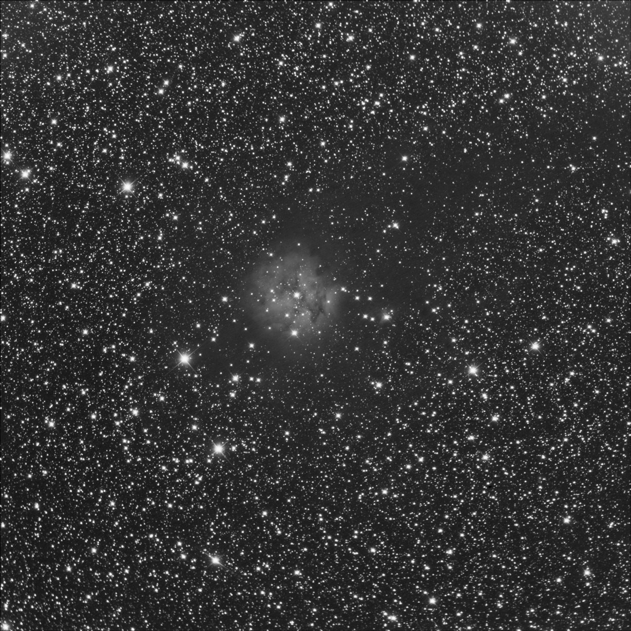 IC5146bl.jpg