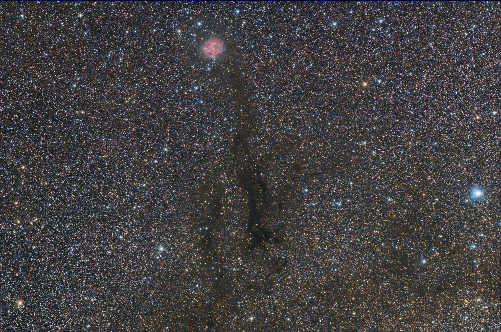IC5146.jpg