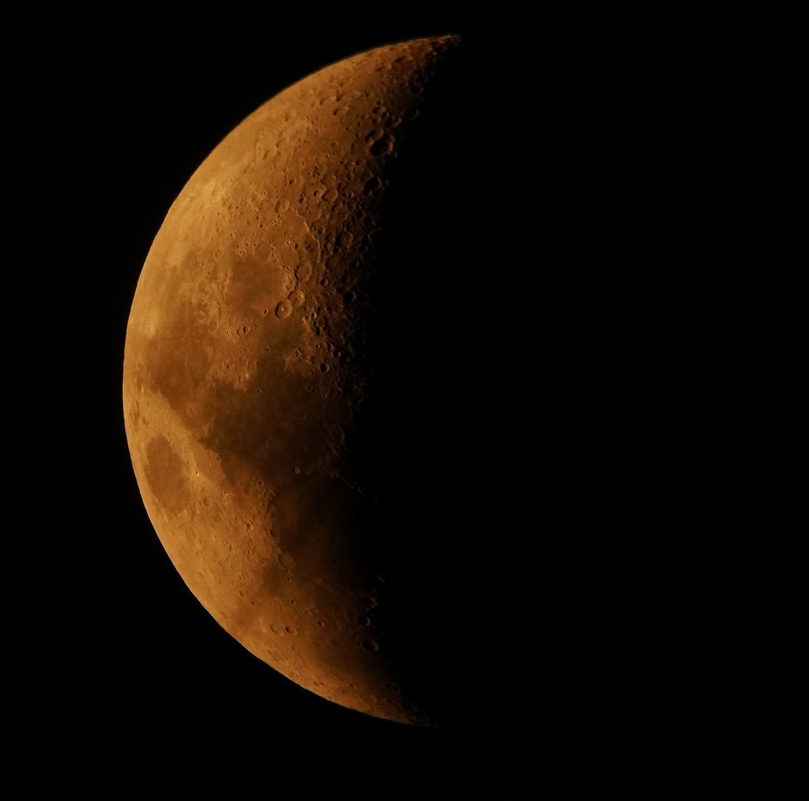 DSC08634.jpg