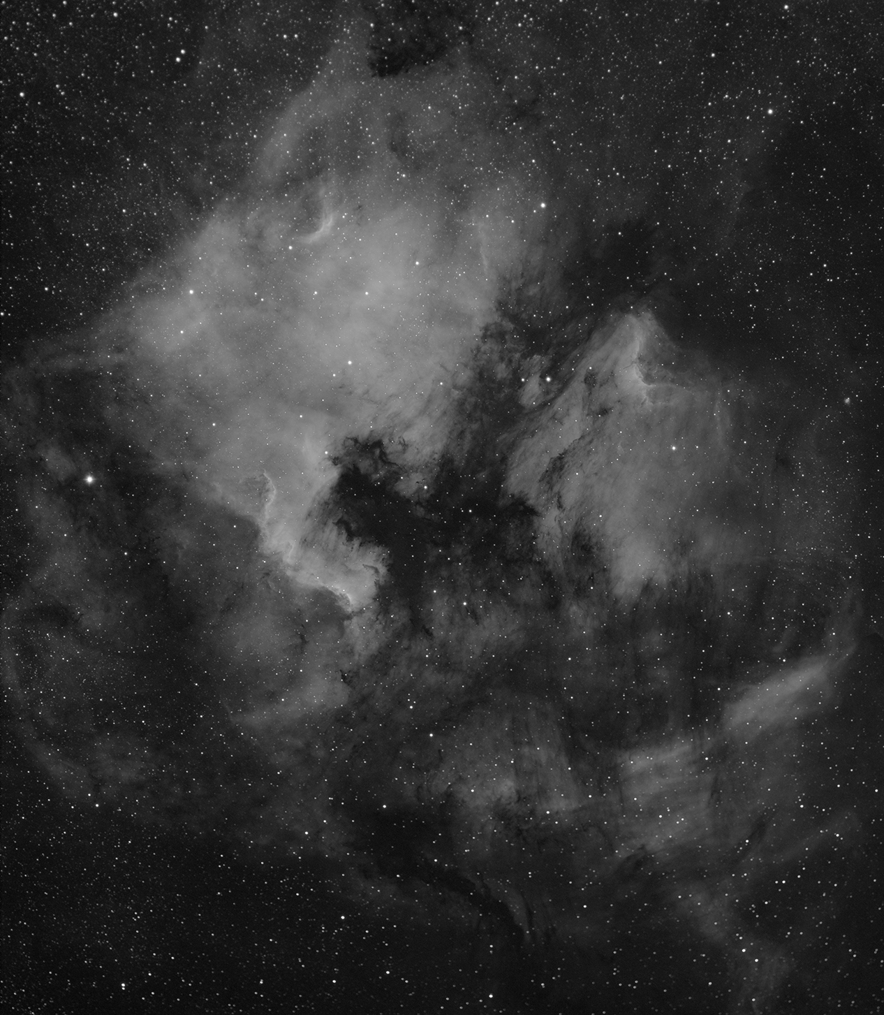 NGC7000 Scaled-PIX.jpg