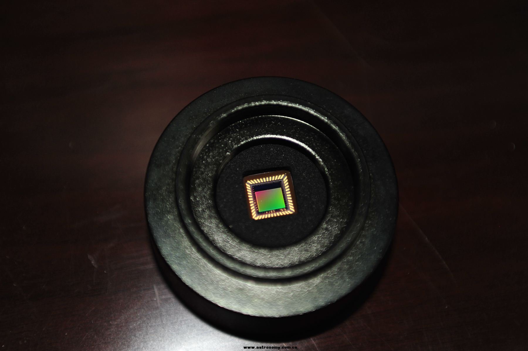 DSC_5498.JPG