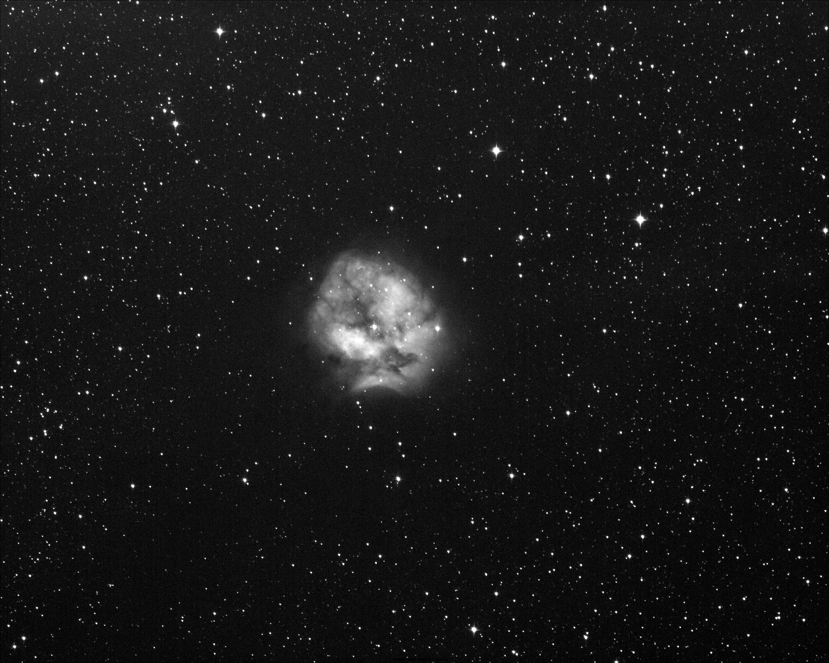 ic1546_ddp.jpg