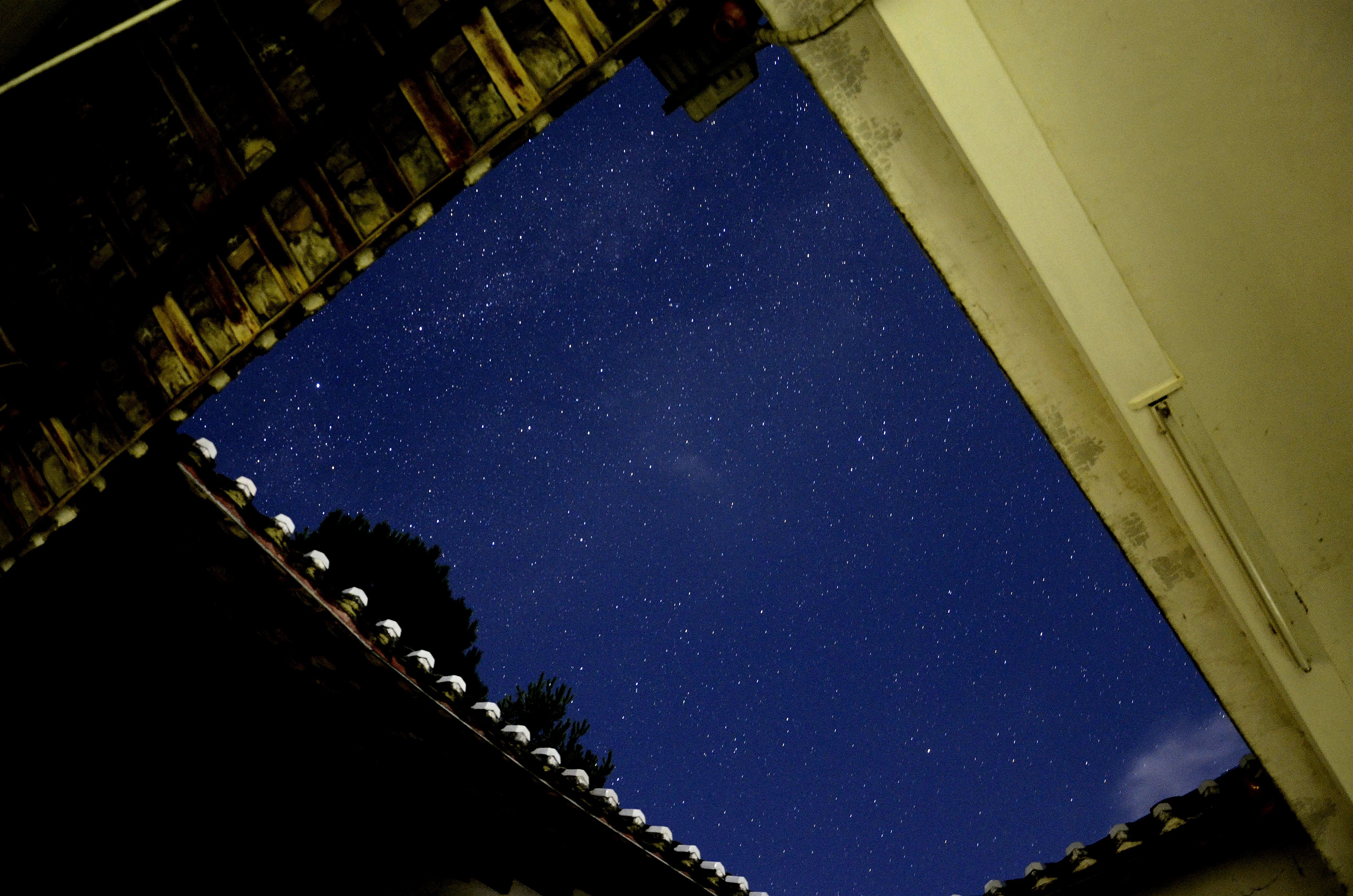 _DSC1443_副本.jpg