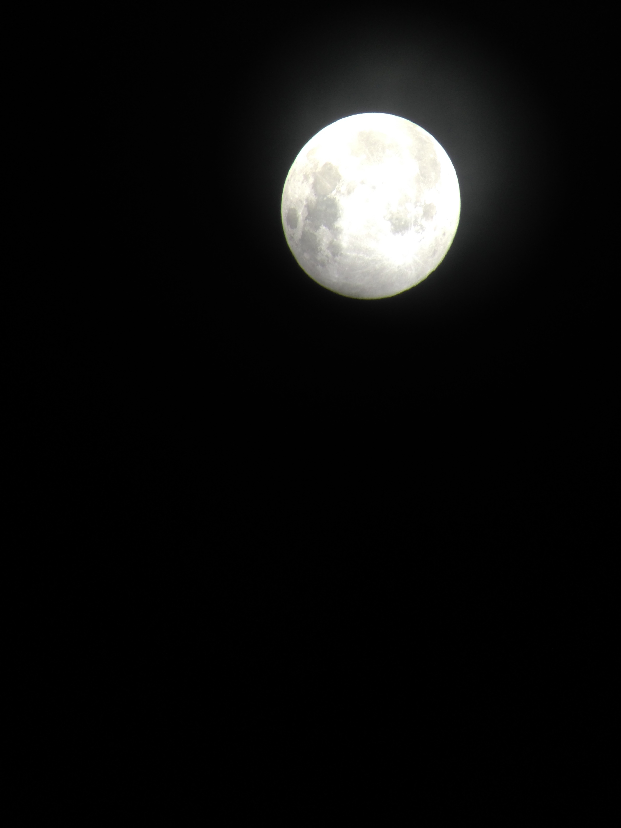 IMG_1395_conew1.jpg