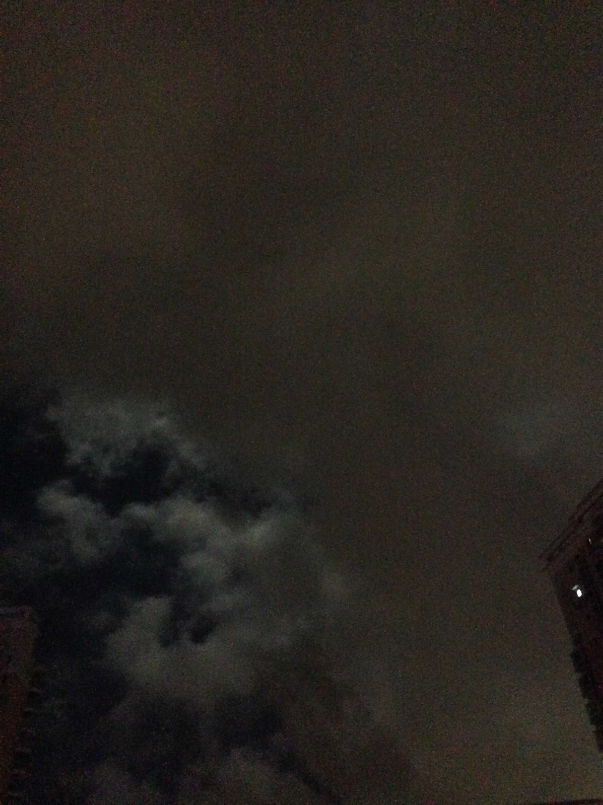 IMG_1393_conew2.jpg